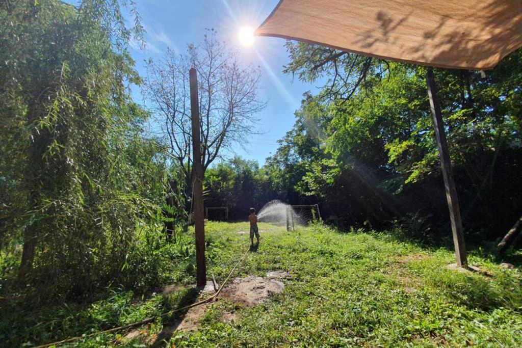 Szentendrei Sziget, Modern Fahaz, Telen Is Holiday home